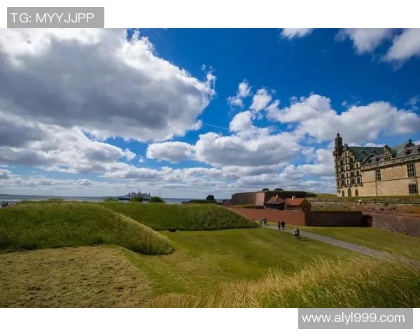 北西兰对阵哥本哈根精彩直播全程回顾与赛后分析