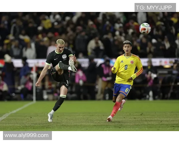 帕梅拉斯与科林蒂安激战正酣谁将赢得这场巴西足球盛宴