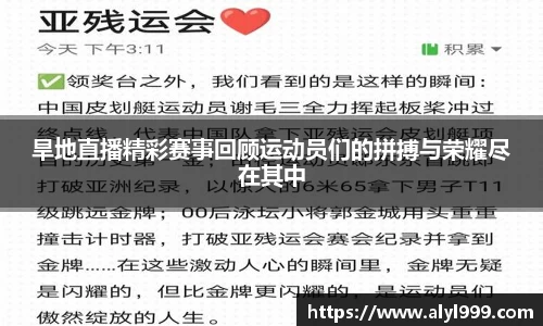 yy易游