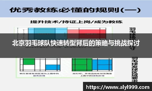 米乐YY易游
