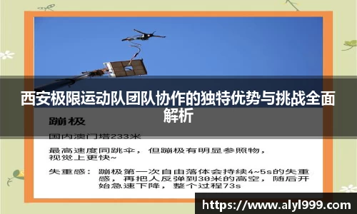 yy易游