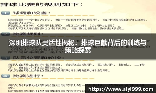 米乐YY易游