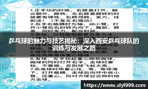 米乐YY易游