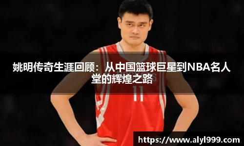 米乐YY易游